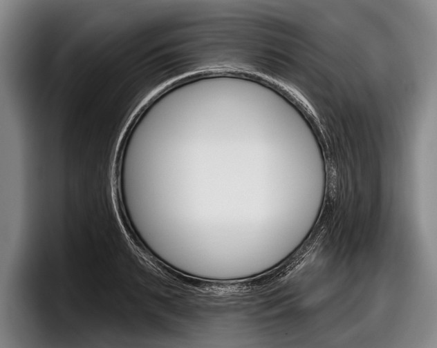 X0000097990895200803241019