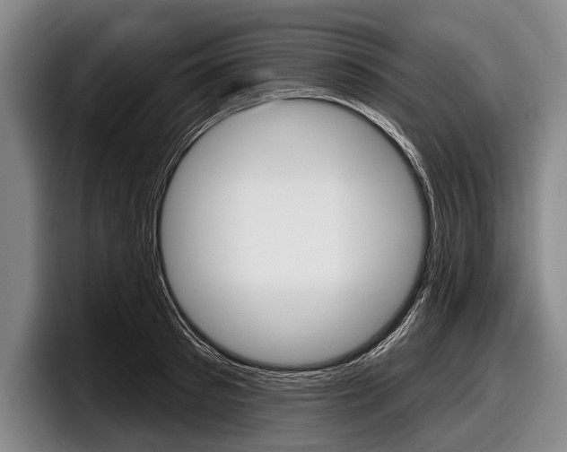 X0000097990897200803241019