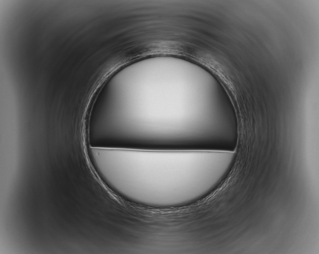 X0000097990898200803241019