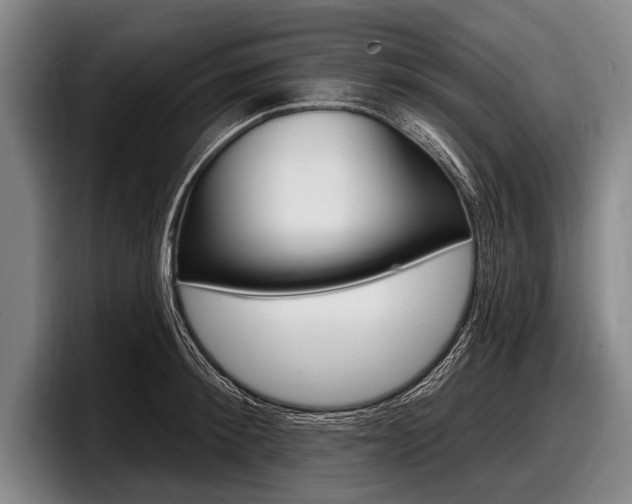 X0000097990900200803241019