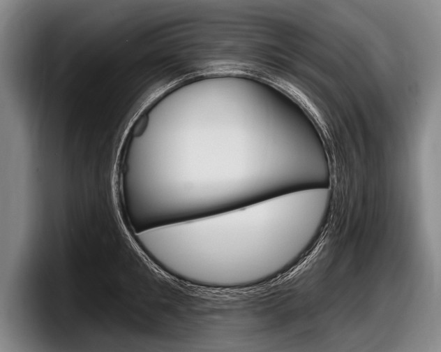 X0000097990901200803241019