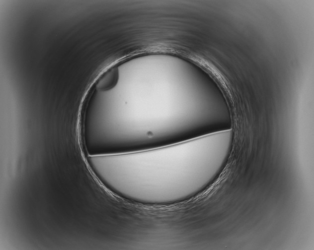 X0000097990902200803241019