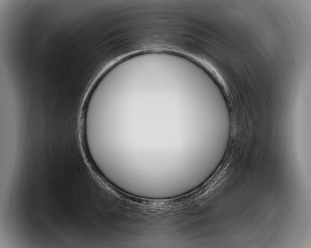 X0000097990903200803241019