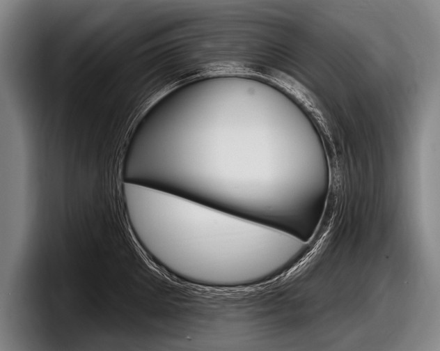 X0000097990905200803241019