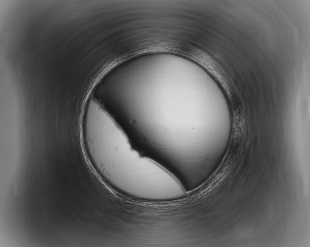 X0000097990906200803241019