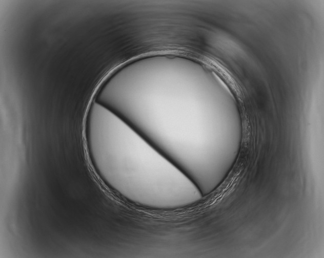 X0000097990907200803241019