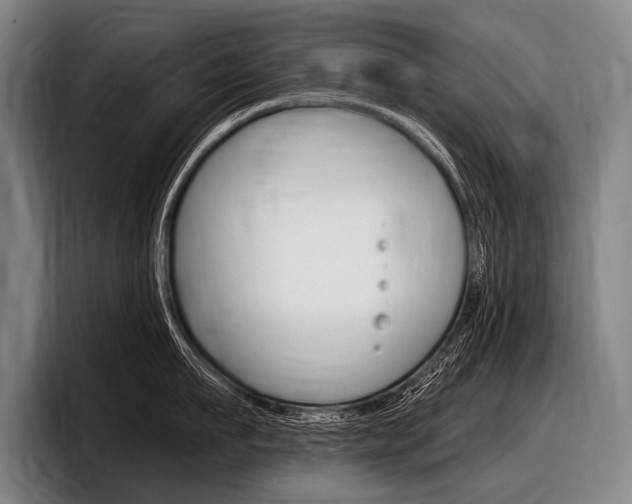X0000097990911200803241019