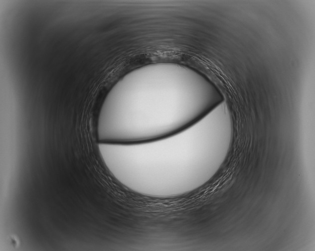 X0000097990915200803241018