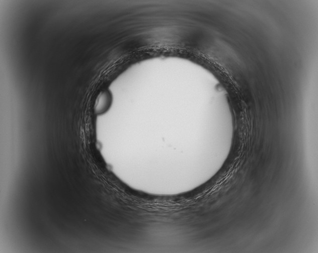 X0000097990918200803241018