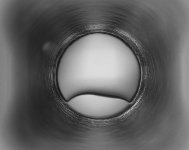 X0000097990921200803241018