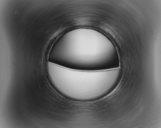X0000097990922200803241018