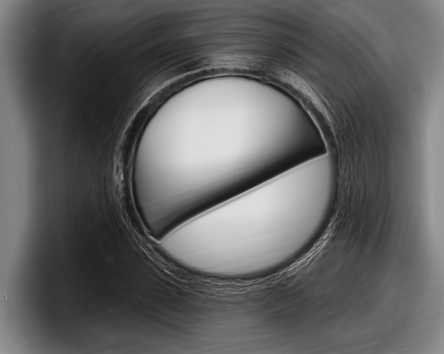 X0000097990923200803241018