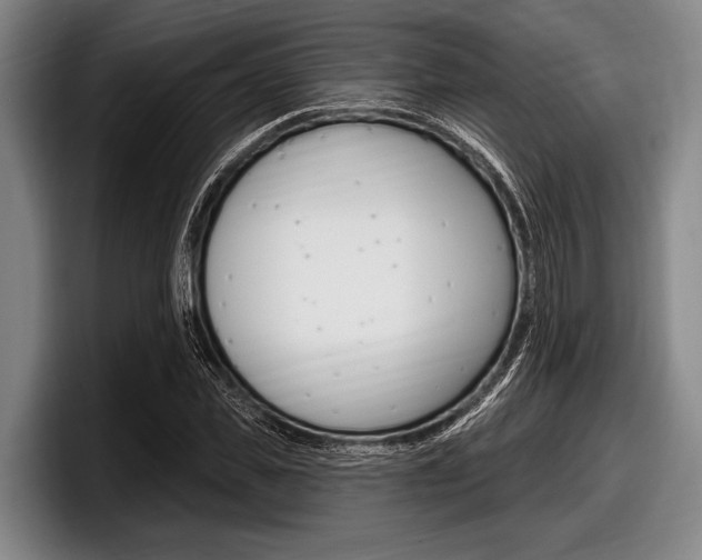 X0000097990925200803241018