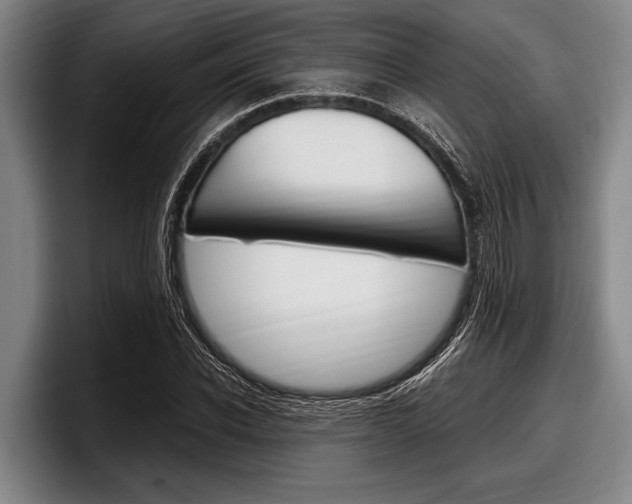 X0000097990926200803241018