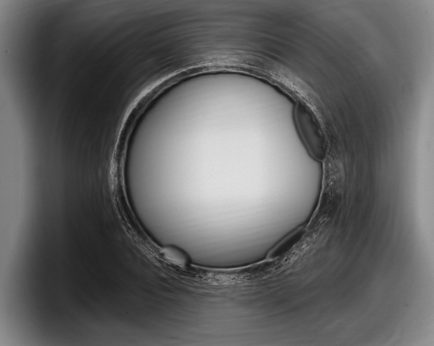 X0000097990928200803241019