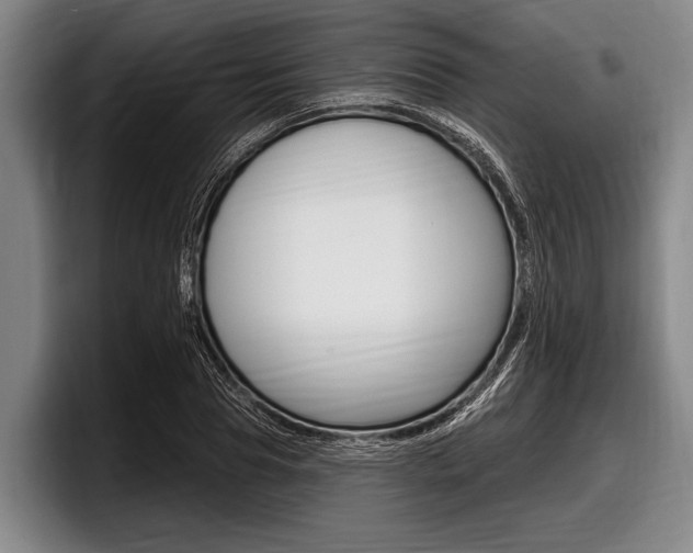 X0000097990929200803241019