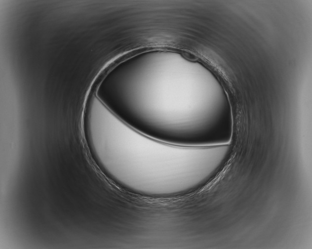 X0000097990932200803241019