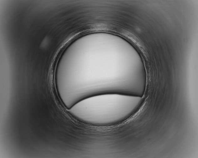 X0000097990933200803241019