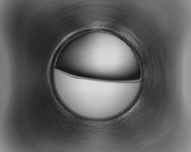 X0000097990934200803241019