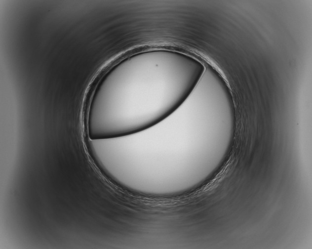 X0000097990935200803241019