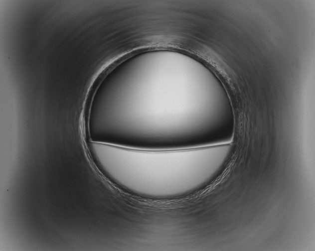 X0000097990936200803241019