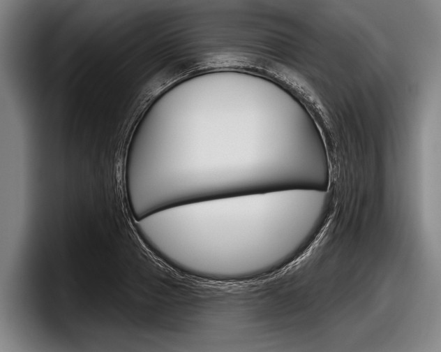 X0000097990937200803241019
