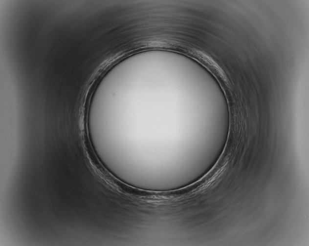 X0000097990938200803241019