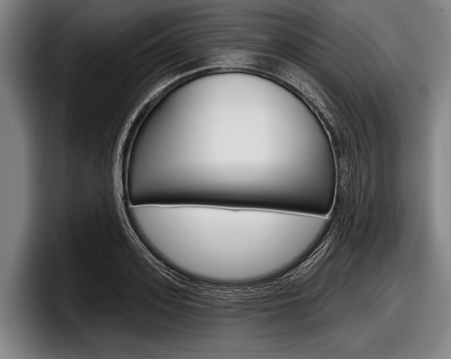 X0000097990939200803241019