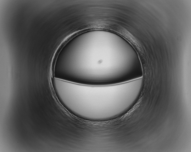 X0000097990940200803241019