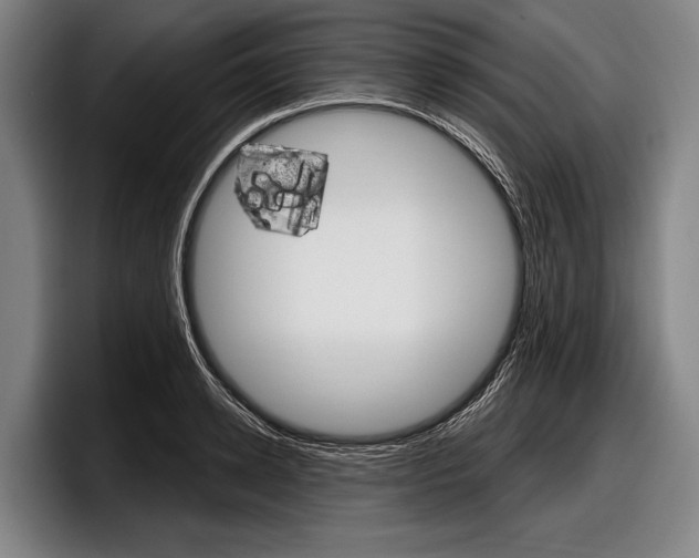 X0000097990942200803241019