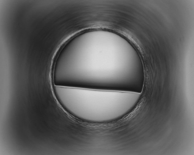 X0000097990943200803241019