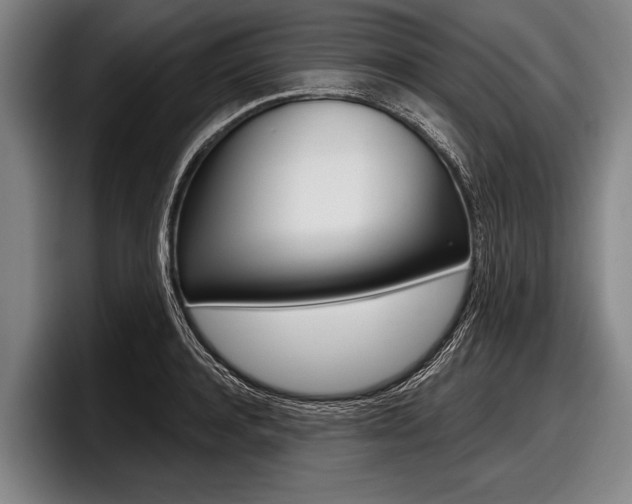 X0000097990944200803241019