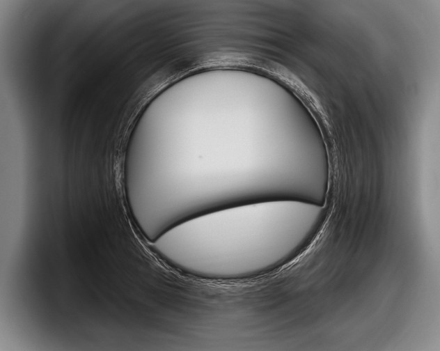 X0000097990945200803241019