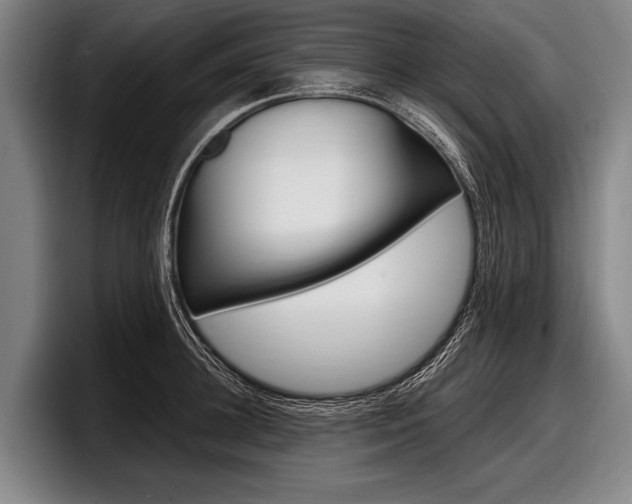 X0000097990948200803241019