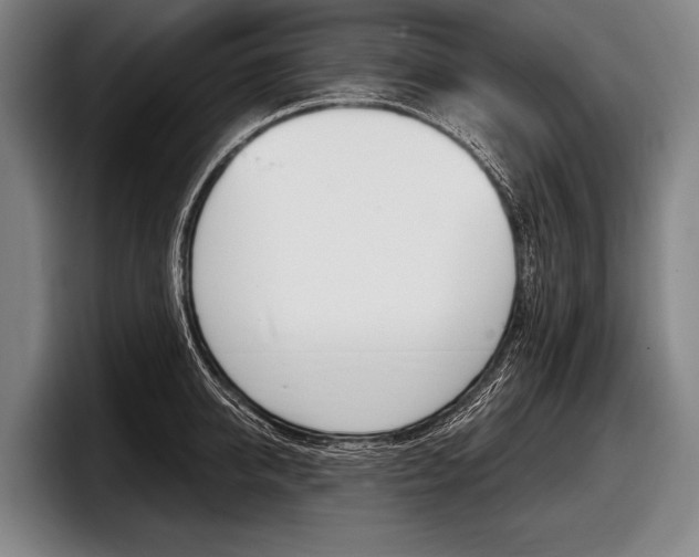 X0000097990950200803241019