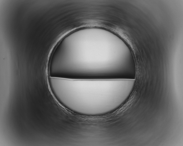 X0000097990951200803241019
