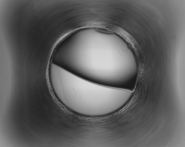 X0000097990952200803241019