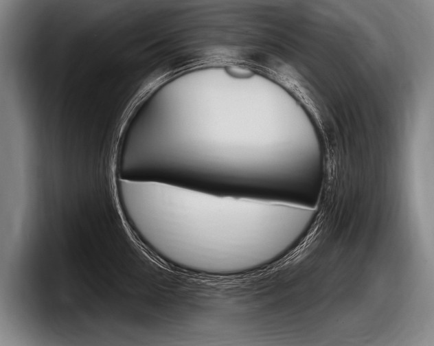 X0000097990954200803241019