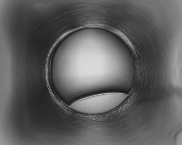 X0000097990955200803241019