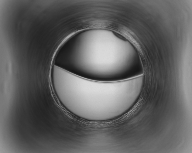 X0000097990956200803241019