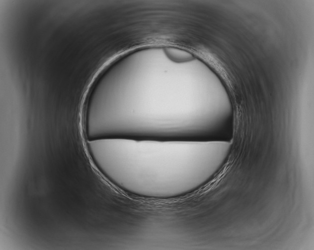 X0000097990958200803241019