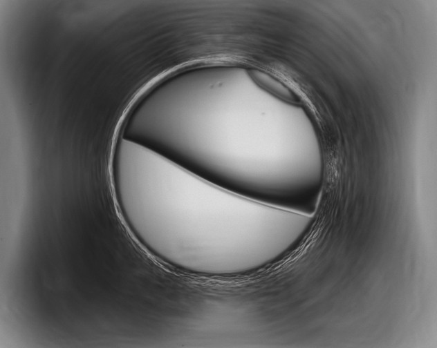 X0000097990959200803241019