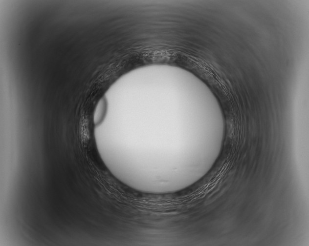 X0000097990962200803241018