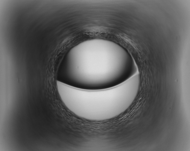 X0000097990965200803241018