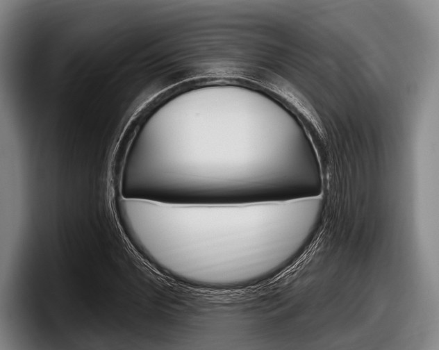 X0000097990972200803241018