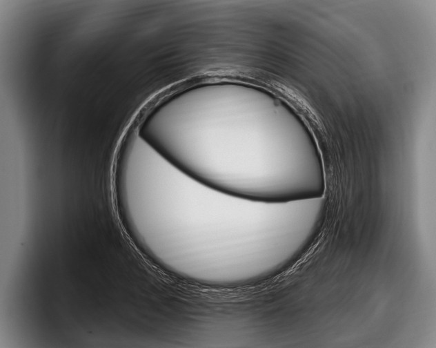 X0000097990976200803241018