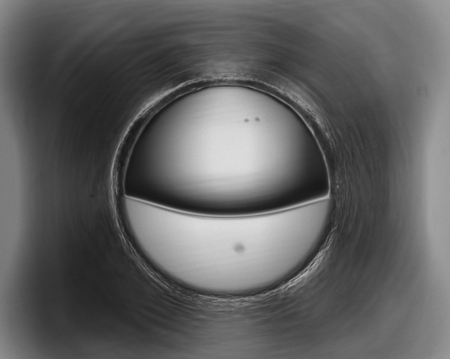 X0000097990981200803241018