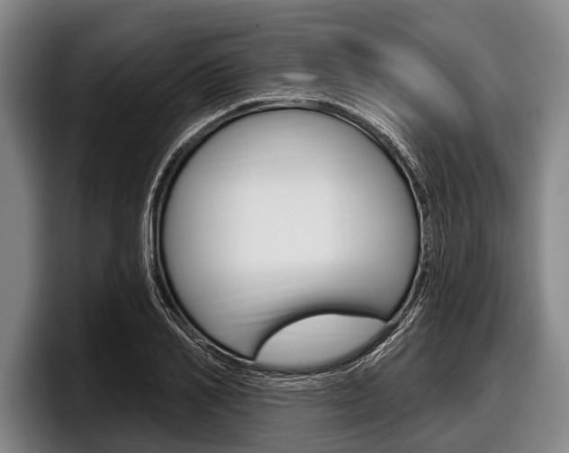X0000097990982200803241018