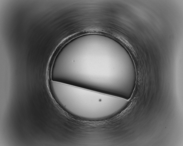 X0000097990984200803241018