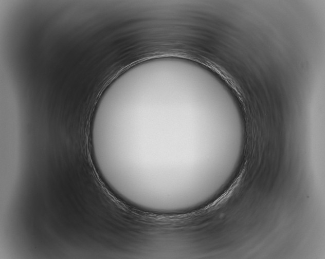 X0000097990985200803241018